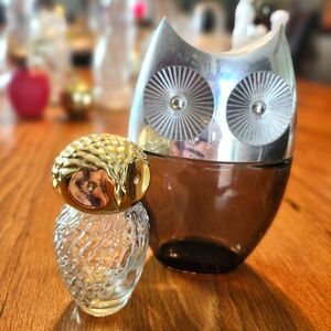 Pair of Vintage Empty Glass Avon Owl Decanters